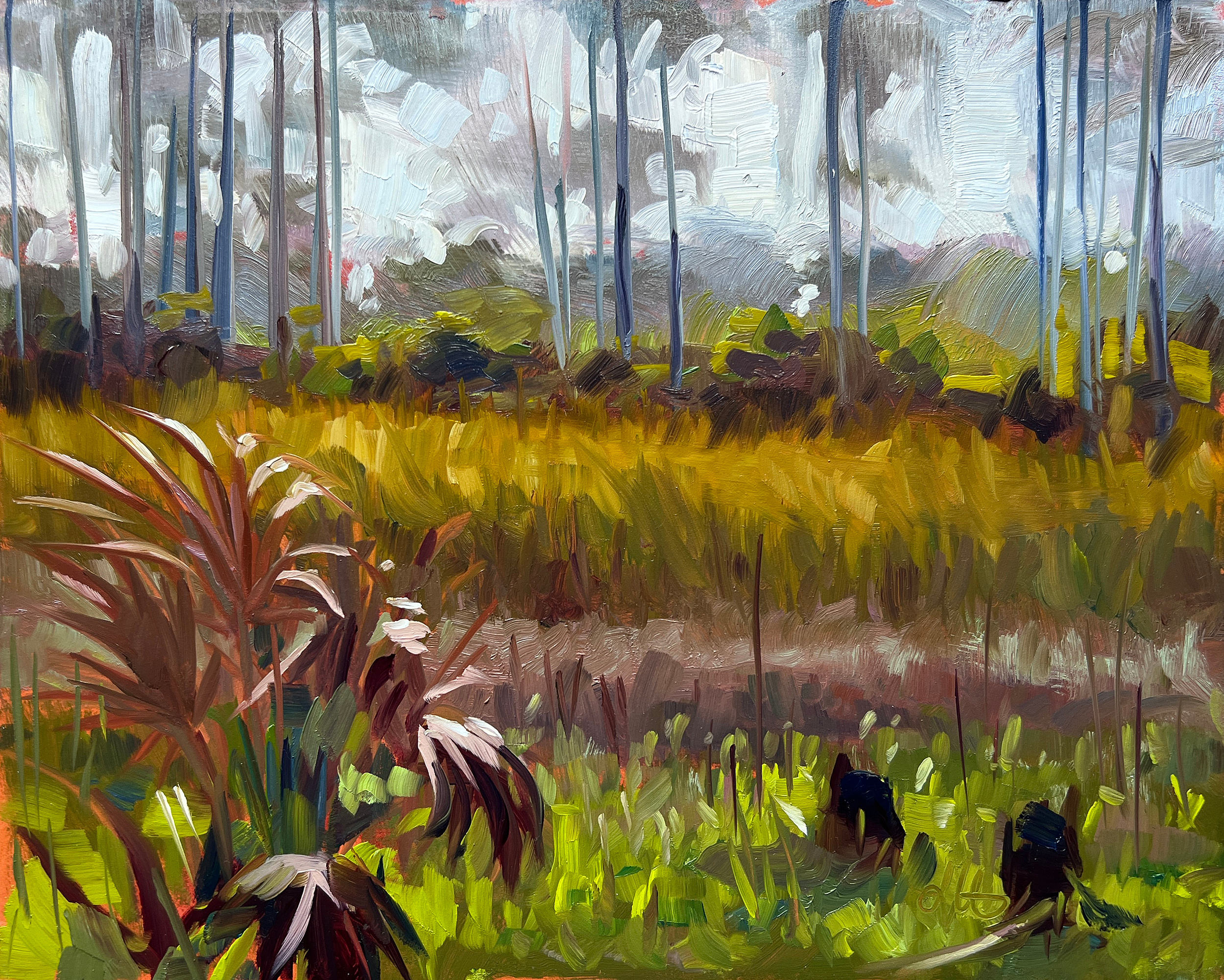 Panther Sanctuary, 2023
8 x 10 in. Oil on Panel
Painted En Plein Air
Florida Panther Wildlife Refuge - Immokalee, FL
$325